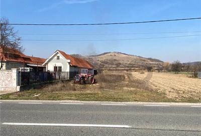 RECO Teren intravilan in Uileacul de Cris 3544mp - 2