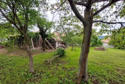 Casă cu 2 camere în Moldovenești - 3