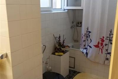 De vanzare casa mare , zona Brancoveanu, suprafata utile 350 mp - 21