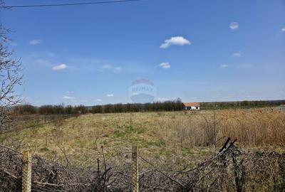 Teren Construcții intravilan de 7000 mp, în Girov - 12