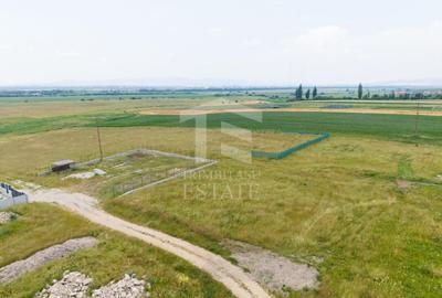 Teren Construcții intravilan de 733 mp, în Sânpetru - 5