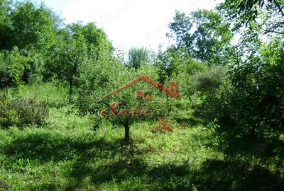 Teren de 2276 mp, în Vest - 14