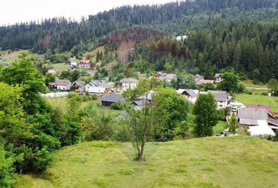 Teren 6,865mp Vorone? / Gura Humorului / Bucovina - 27