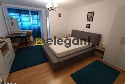 Garsonieră semidecomandată, mobilată în Brazda lui Novac - 7