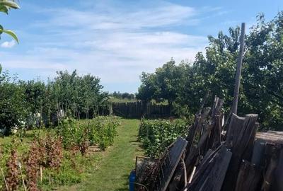 Casă cu 2 camere în Central - 2