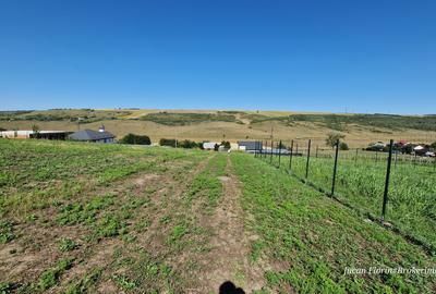 Teren intravilan in Vantori, Popricani,  ideal locuință sau investiție - 1