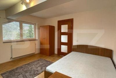 Apartament cu 2 camere semidecomandat în Grigorescu - 5