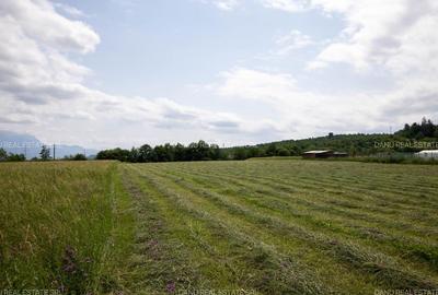 Teren 7500 mp cu potential turistic si rezidential Mina 1 mai - Vulcan Brasov - 10