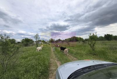 Teren Construcții intravilan de 3750 mp, în Giulești - 32