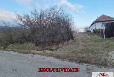 Teren Construcții intravilan de 2125 mp, în Henig