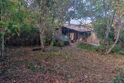 Vand imobil zona Piata Anton Ploiesti - 1