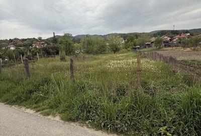 Spațiu comercial, în Aranghel - 2