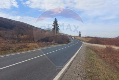 Teren agricol extravilan de 10000 mp, în Brădet - 6