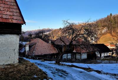 Teren intravilan Simon/Bran, 4318 mp , casuta intabulata, utilitati - 24