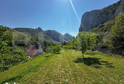 Teren de 1800 mp, în Sălciua