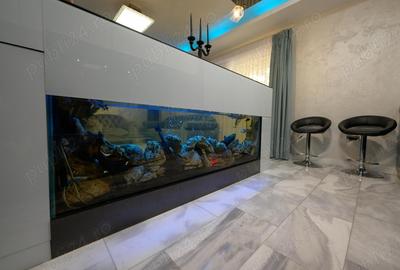 Apartament cu 2 camere decomandat în Km 4