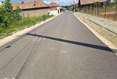 Teren de 500 mp, în Teiu - 1