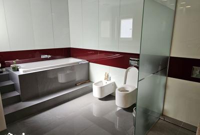 Apartament cu 3 camere, mobilat în Herăstrău - 12