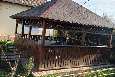 Casă cu Teren 462 Mp în Cetate - 2