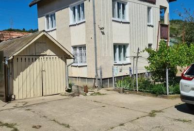 Casa P+1+M in Brebi,Salaj cu 19,32 ari teren+garaj+anexe de 240 mp - 2