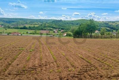 Teren de 500 mp, în Hidiș - 1