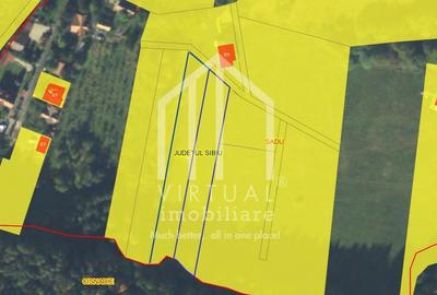 Teren Construcții intravilan de 3862 mp, în Sadu - 3