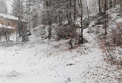 Teren intravilan situat in Busteni - 3