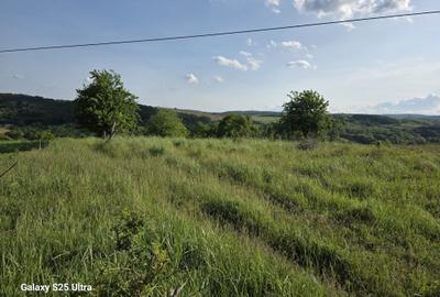 Teren de 3600 mp, în Parava - 8