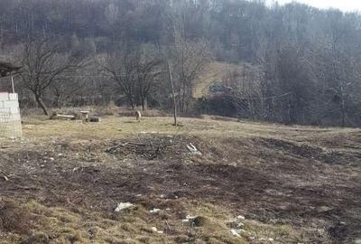 Teren de 6200 mp, în Viperești - 3