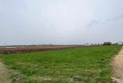 Teren intravilan, 1792 mp, Radauti - 5