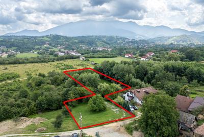 Teren cu pârâu, ideal pentru proiect turistic/casa vacanță lângă Castelul Bran - 9
