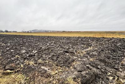 Teren Construcții extravilan de 2320 mp, în Horodnic de Sus - 4