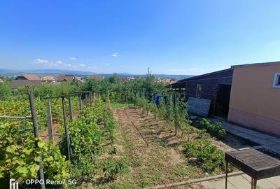 Casa -vila de vanzare in Reghin - 15