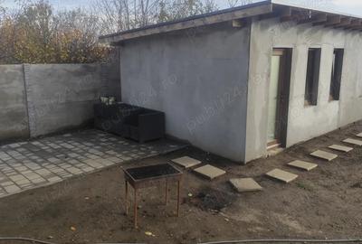 Casa vinzare sinandrei jud timis - 4