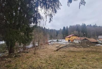 Vila versatila, dubla oportunitate: rezidential exclusivist si potential comerci - 10