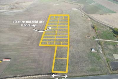 Parcele de teren 650mp | Dudestii Noi - 1