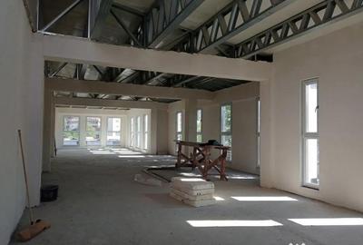 Spațiu comercial, de 700 mp, în Iancului - 8