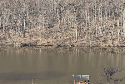 Teren de vis in comuna Ganeasa, langa lacul Cozieni - 1
