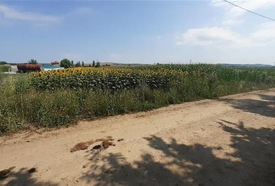 Teren agricol intravilan de 4971 mp, în Chiribiș - 2