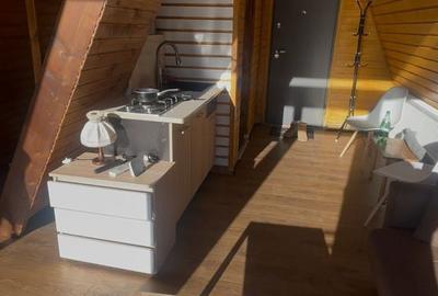 Casă cu 2 camere cu Teren 400 Mp în Dâmbovicioara - 13