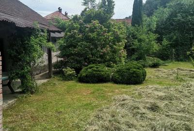 Casă cu 4 camere cu Teren 900 Mp în Carașova - 1