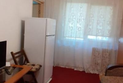 Garsonieră semidecomandată în Craiovița Nouă - 3