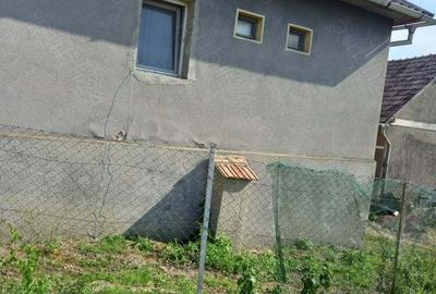 Casă cu 3 camere cu Teren 1000 Mp în Rusu de Sus - 4