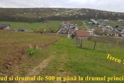 Teren de 700 mp, în Budiu Mic - 8
