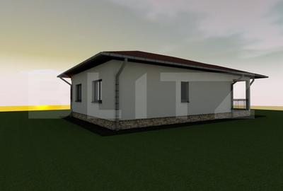 Casa plan parter 3 camere, 550 mp teren, Ciurbesti - 2