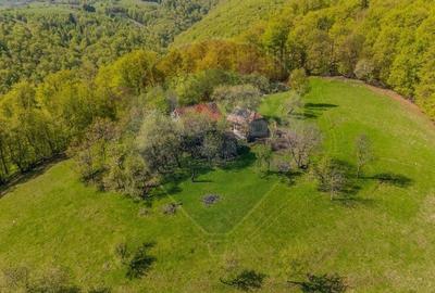 Teren agricol extravilan de 21537 mp, în Paltin
