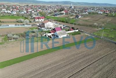 Teren de vanzare, Com. Nicolae Balcescu, Jud. Bacau - 16