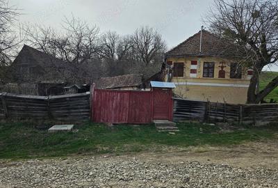 Casă cu 3 camere cu Teren 1300 Mp în Grânari - 4