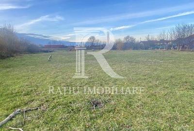 Teren de 13500 mp, în Central - 6