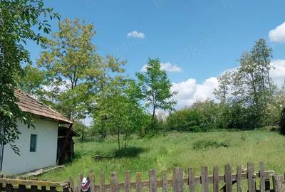 Vand casa batraneasc Vand casa batraneasc - 1
